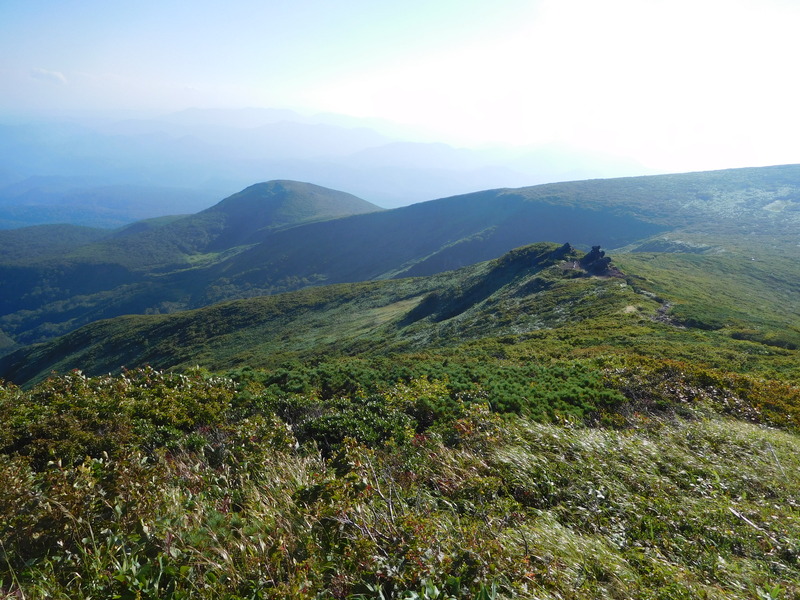 b018dd74.jpg