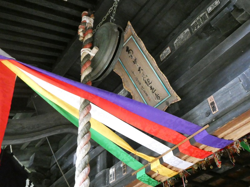 P1020229