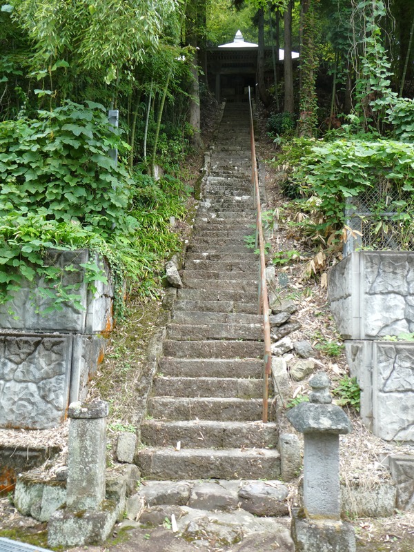 P1030259