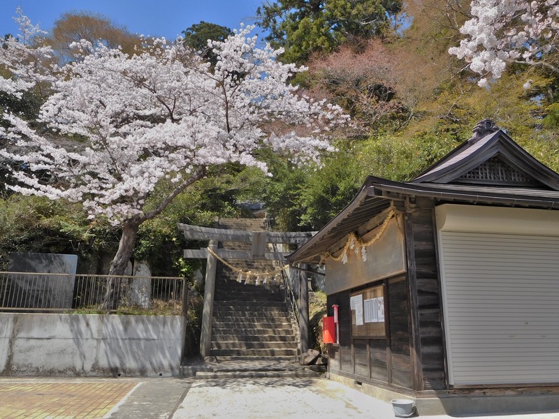 DSCN0231