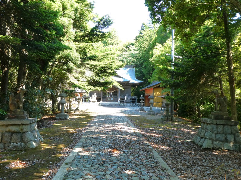 P1030932