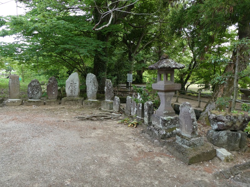 P1010709