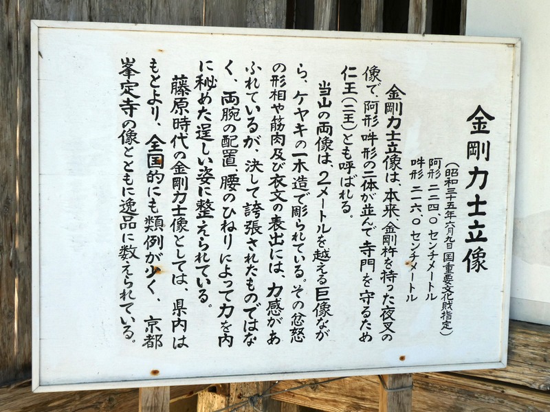 P1030372