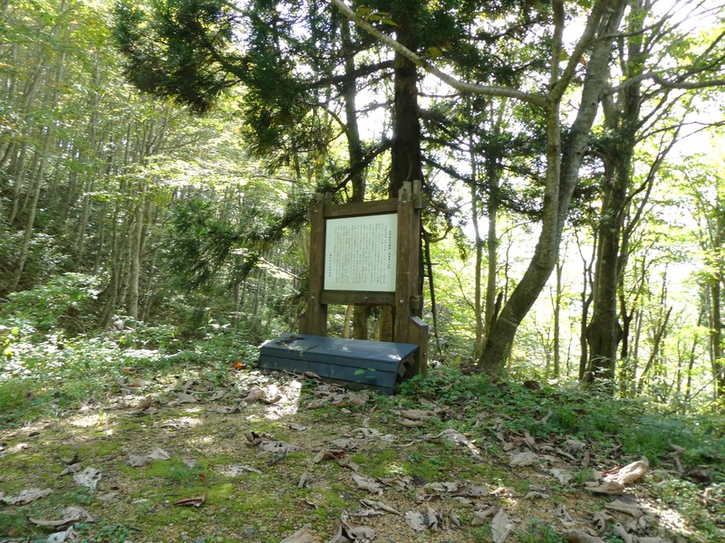 P1030271