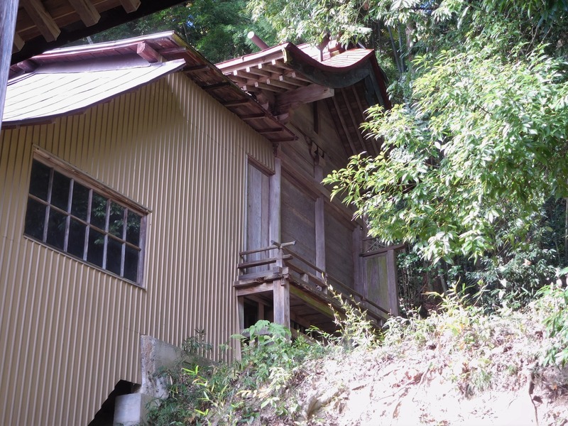 DSCN8896