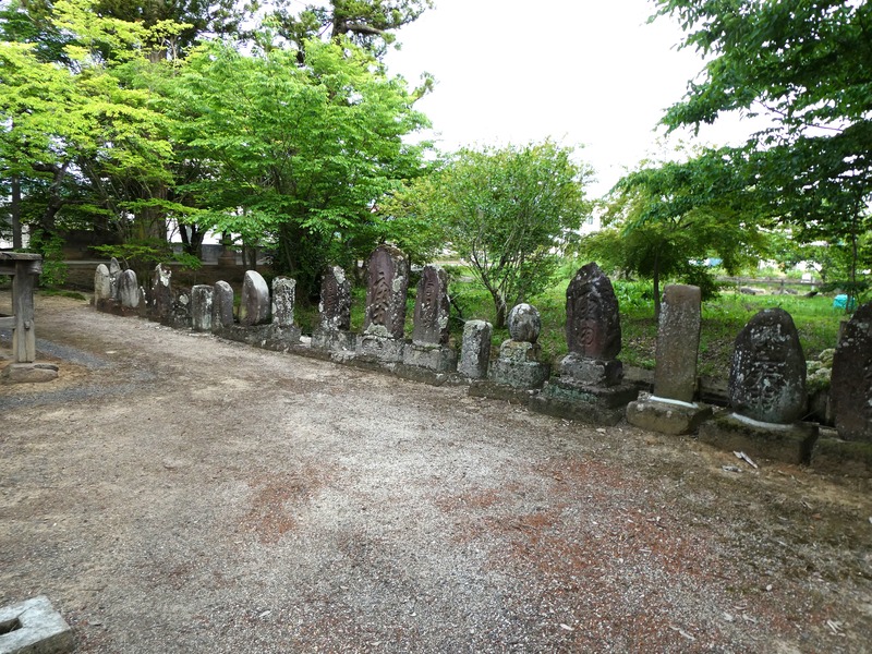 P1010710