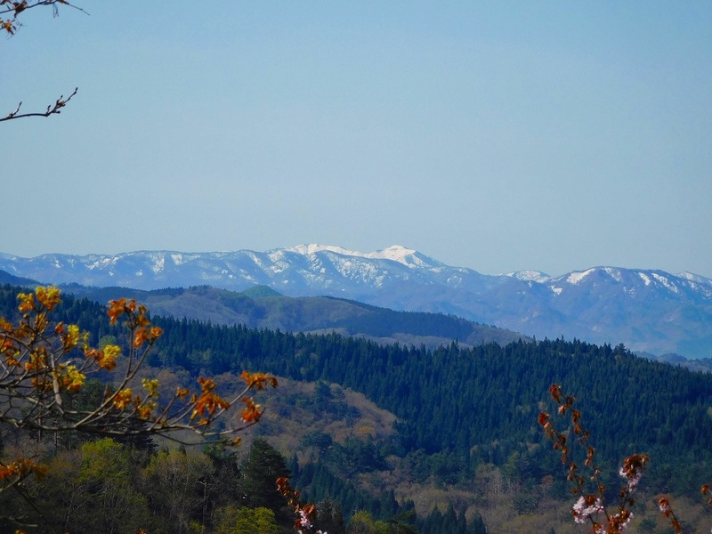 c0e48442.jpg