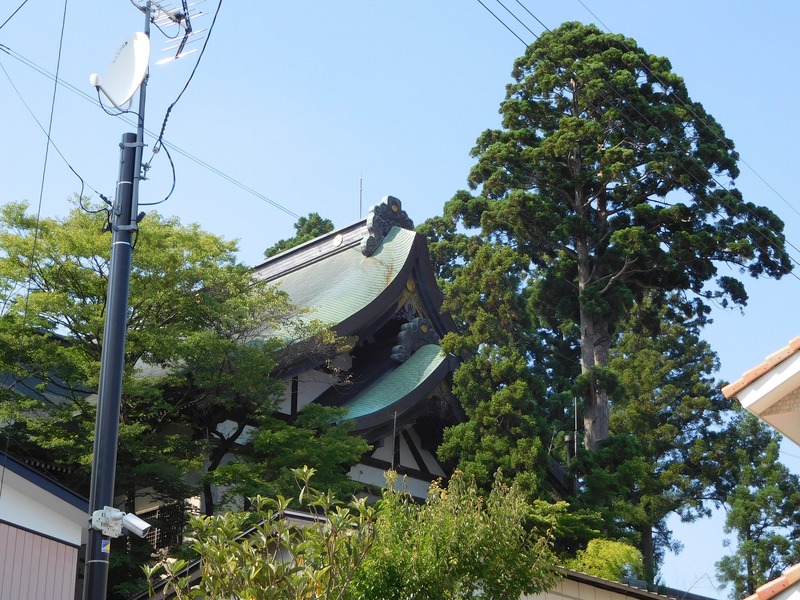 DSCN9351