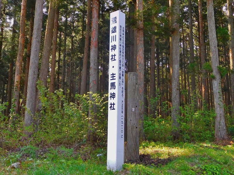 s-019