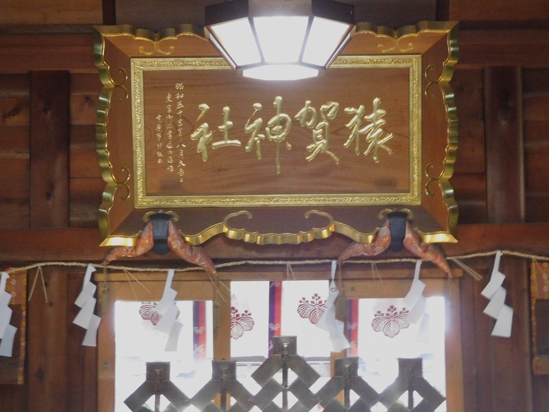 DSCN9271