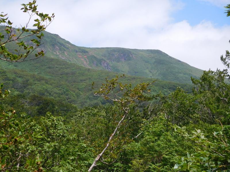 c39d4385.jpg