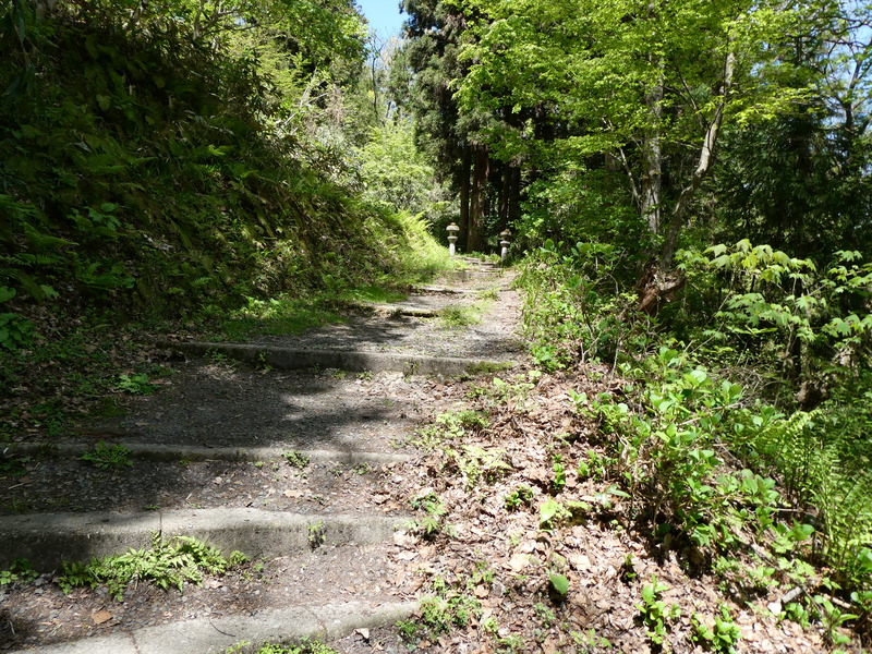 P1010354