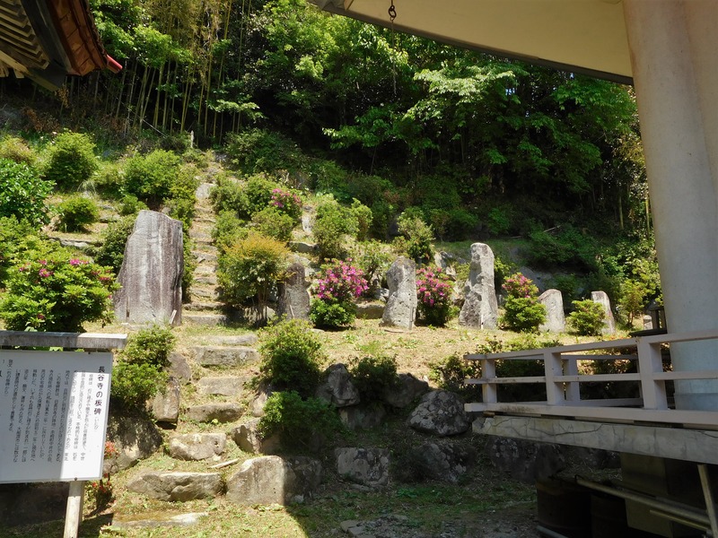 DSCN8986