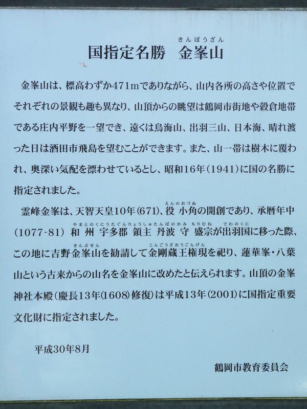 P1020738