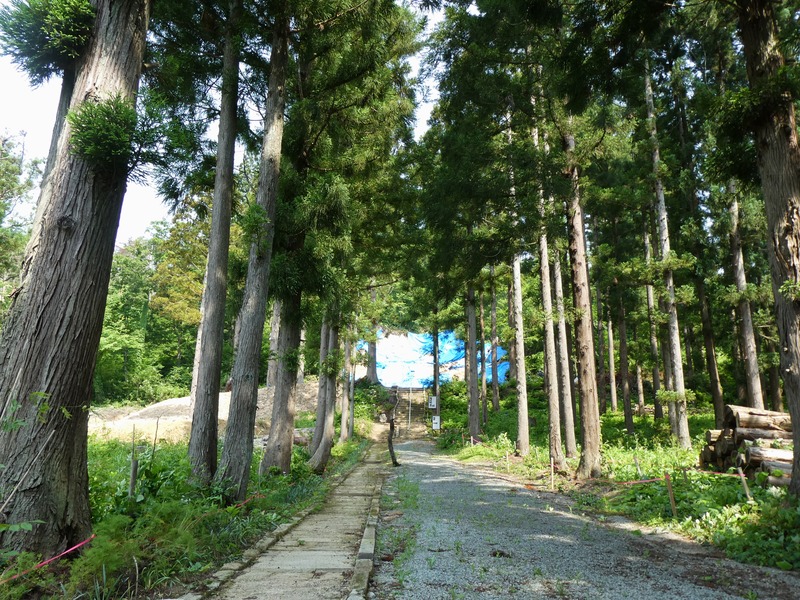 P1020041