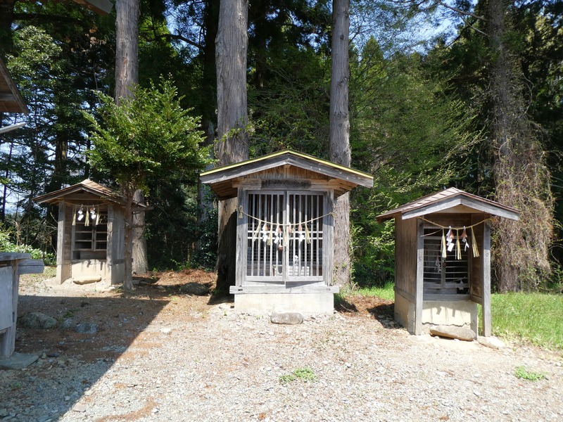 P1030705