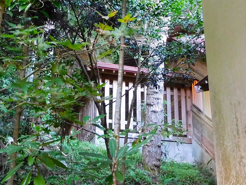 s-DSCN1644