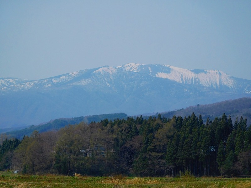 d5537da8.jpg