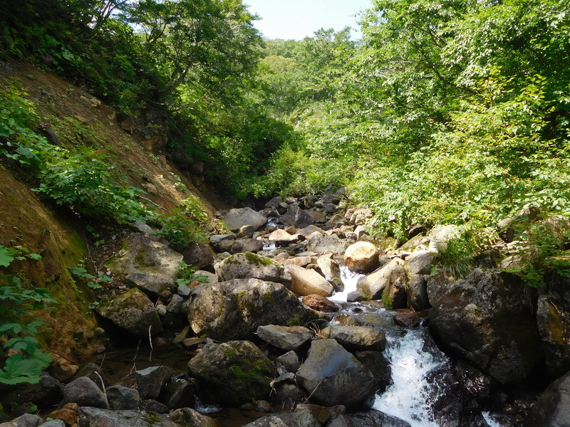 d89b2c67.jpg