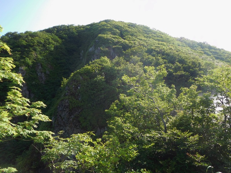 DSCN9282