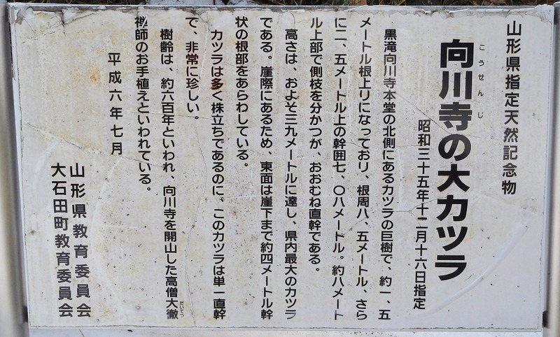 s-119