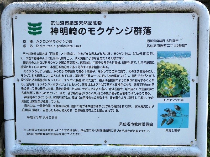 P1030671