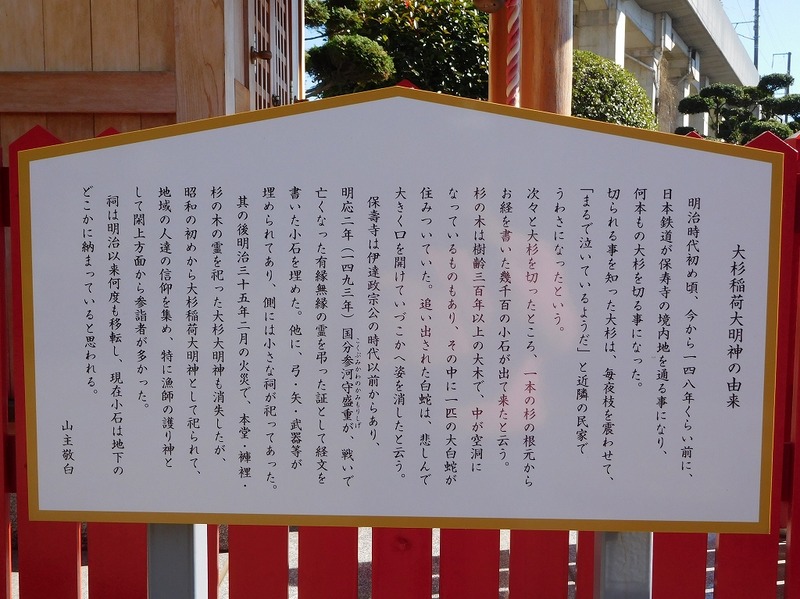 s-DSCN9561