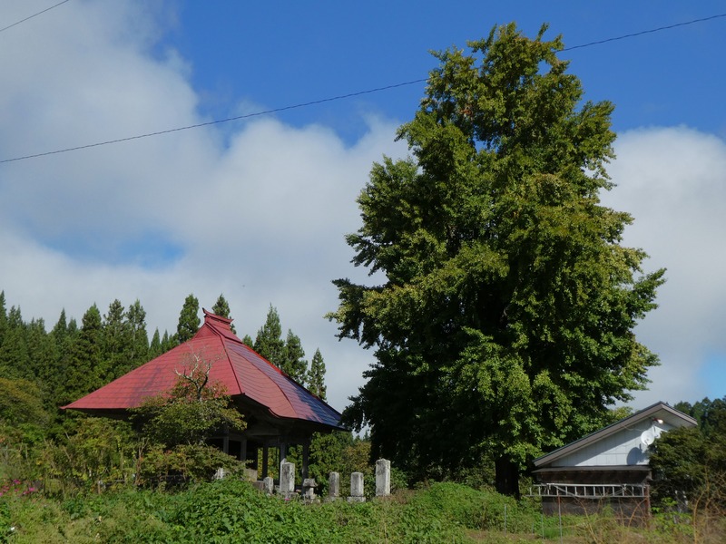 P1030306