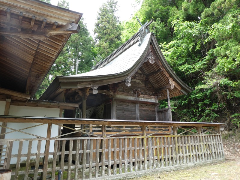 P1030841