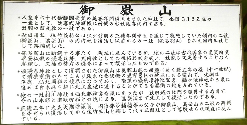 P1030277t