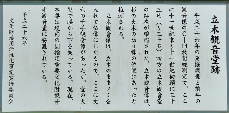 P1010899