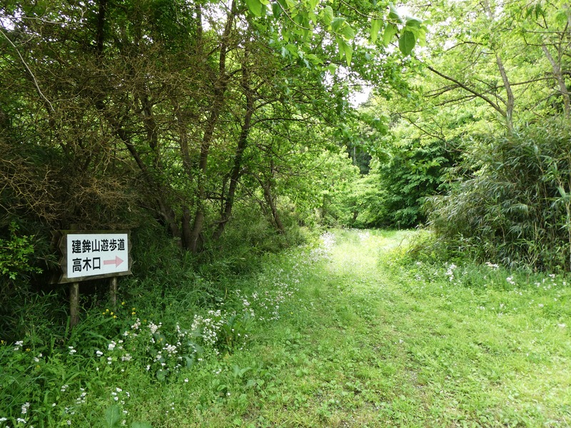 P1030788