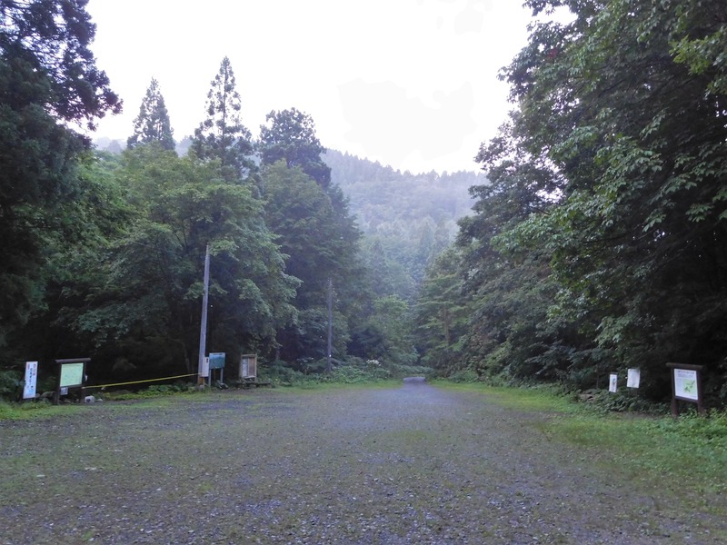 DSCN9239