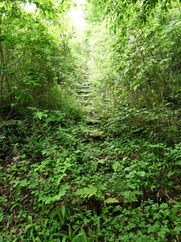 P1030793