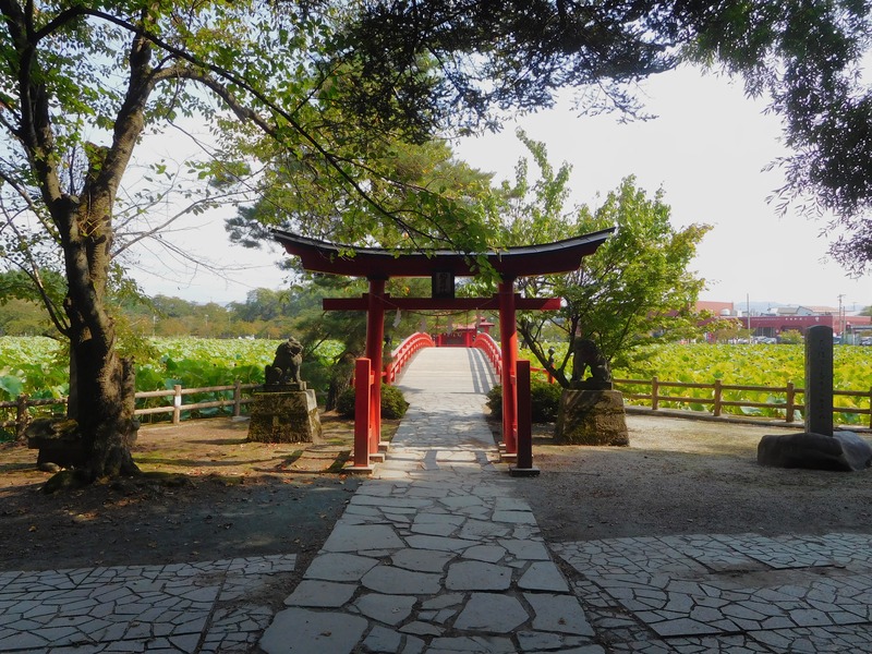 DSCN9274