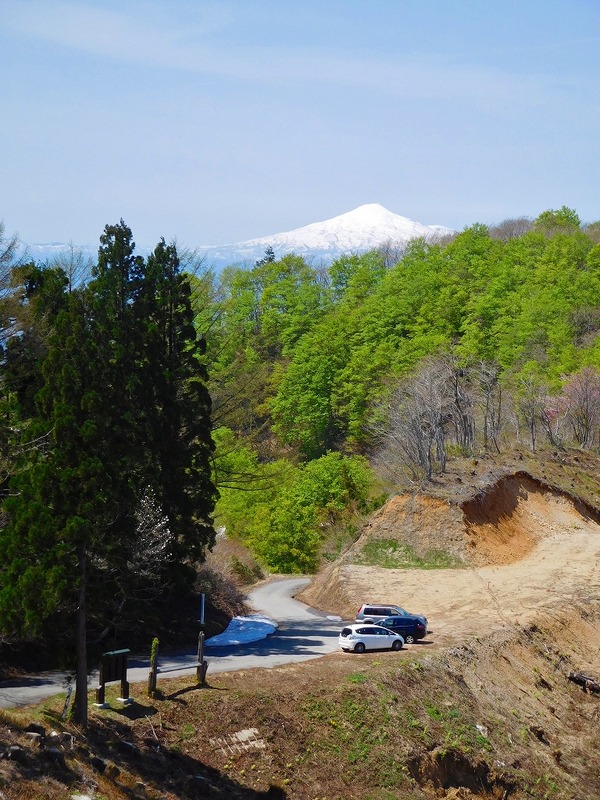 ec0f21a8.jpg
