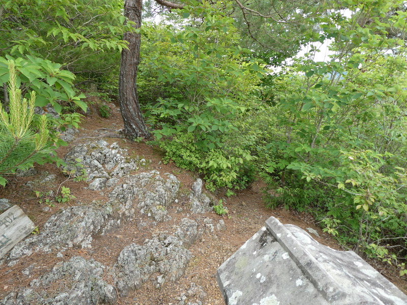 P1030809