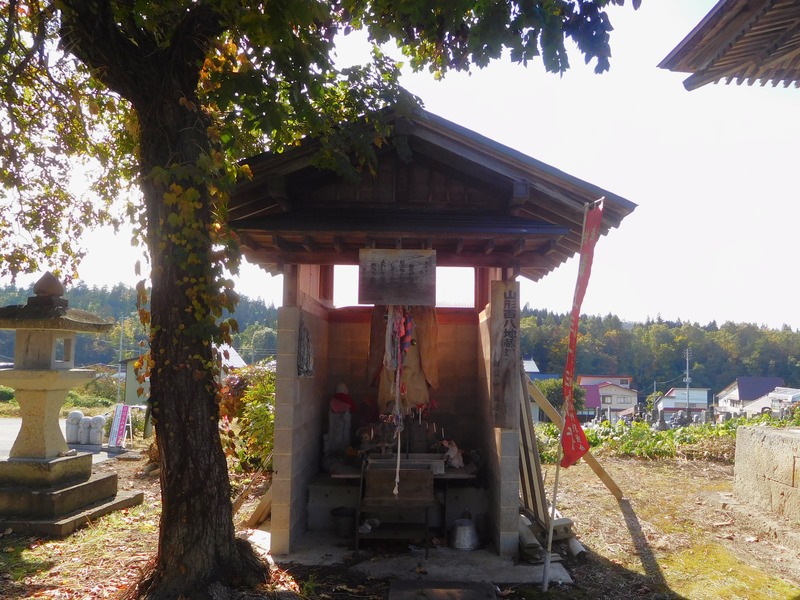 DSCN9574