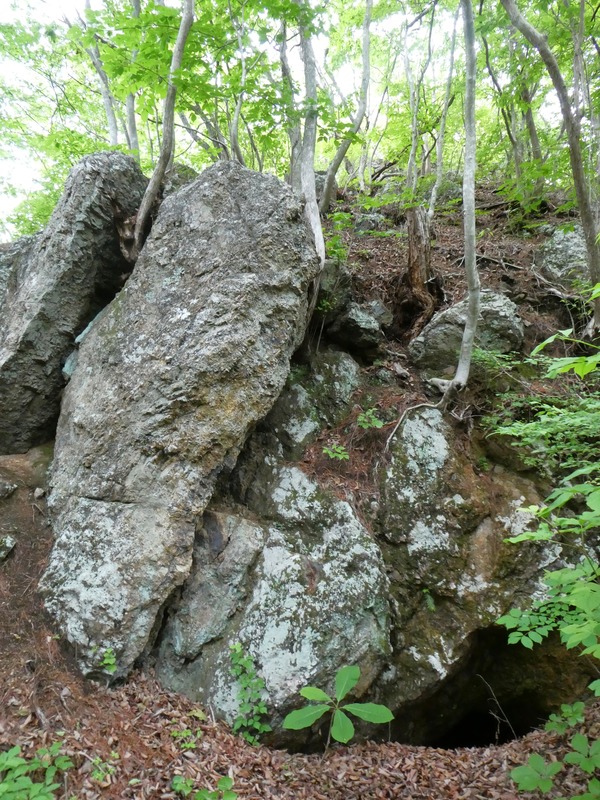 P1030801
