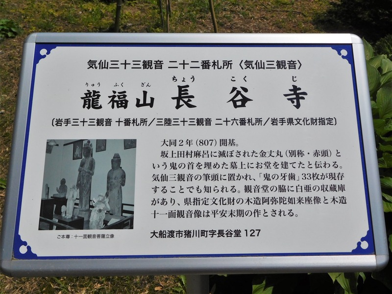 DSCN8981