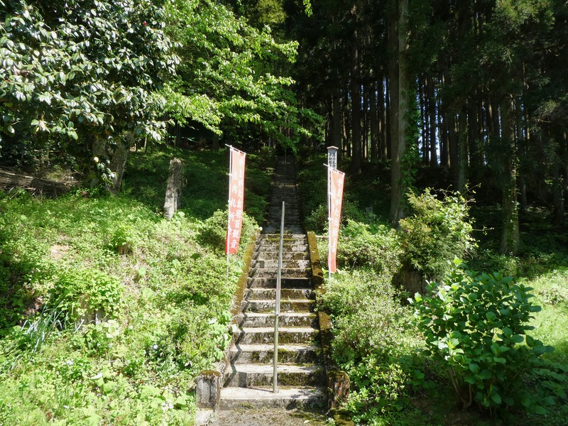 P1020661