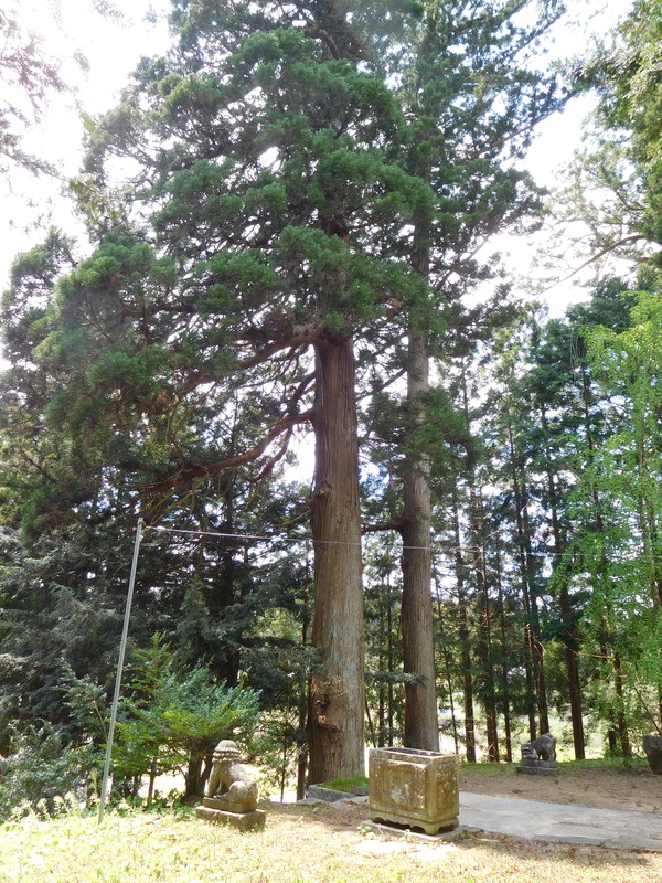 DSCN0353