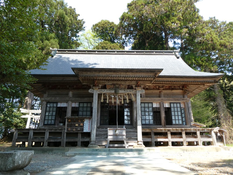 P1030703