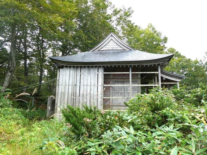 P1030278