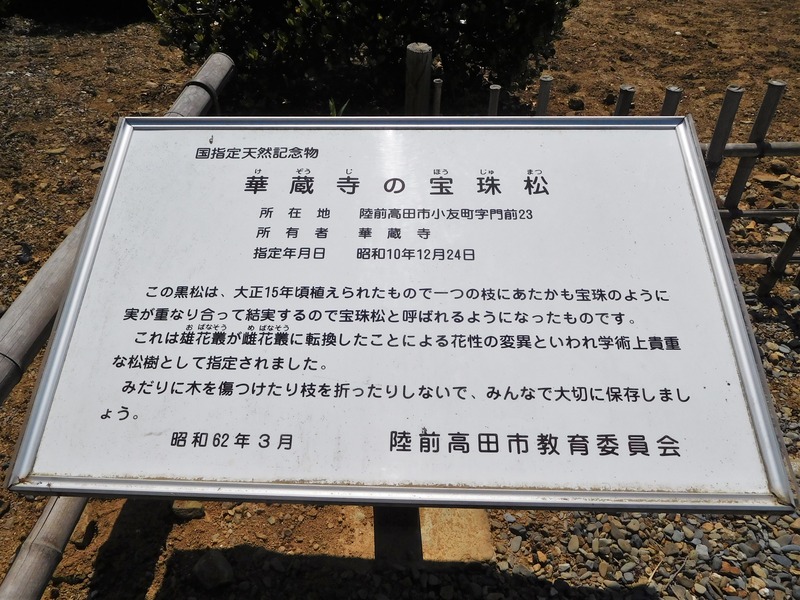 DSCN8948
