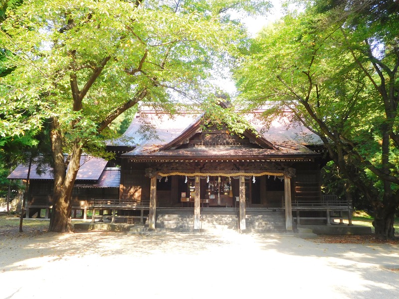 DSCN9269