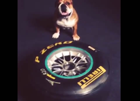 roscoe_tiretest