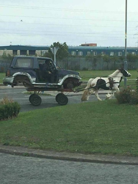 1horsepower