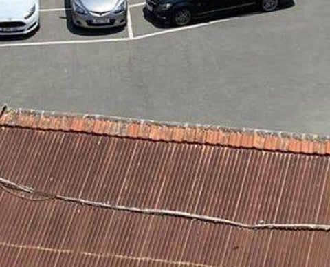 parking_line_s