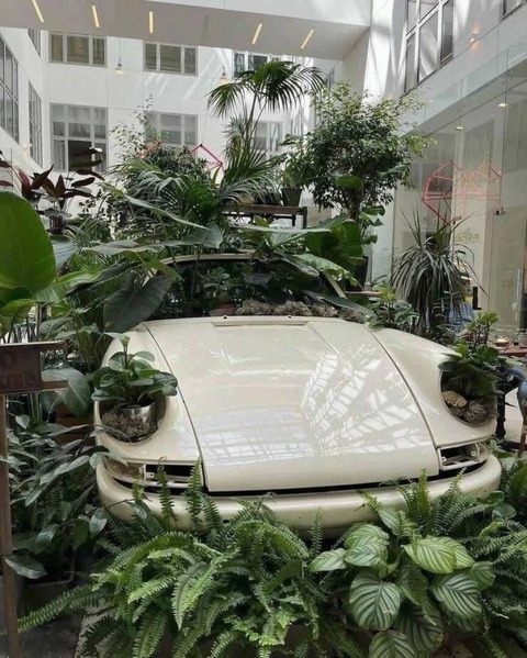 gardening